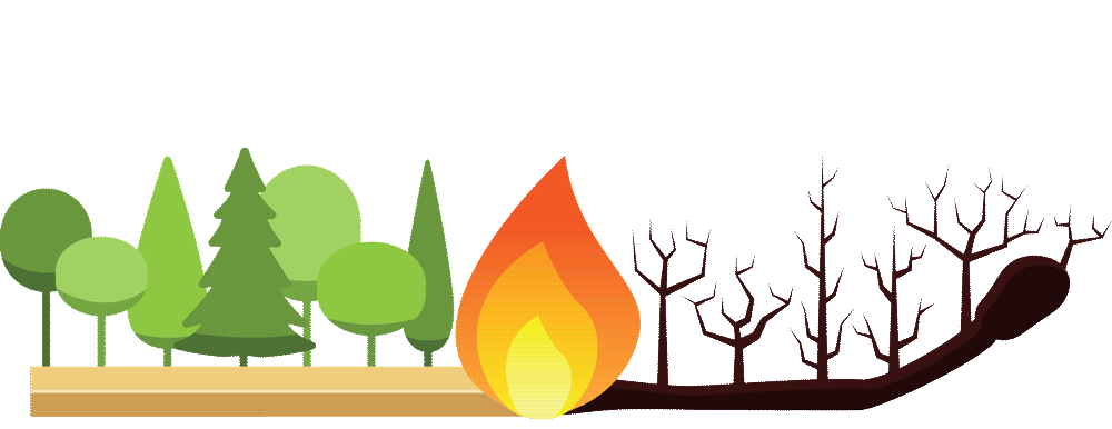 wild fires