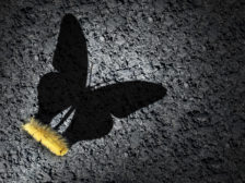 successfully implementing organizational changes