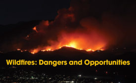 wildfires