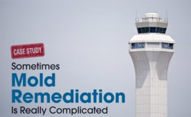 Mold remediation