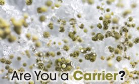 Mold carrier