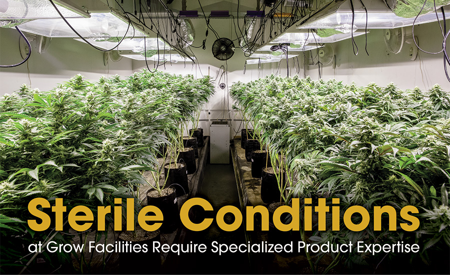 weed farm