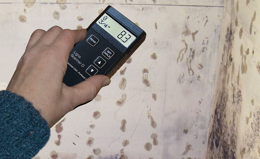 pinless meter