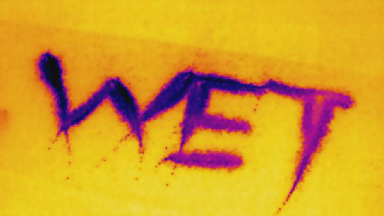 wet carpet
