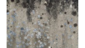 andrew-small-B-HOrhXb8kk-unsplash_web.jpg