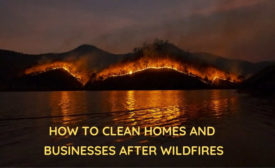 wildfire