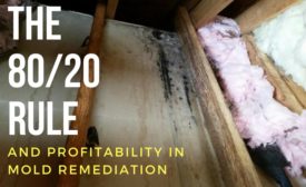 mold profit 1