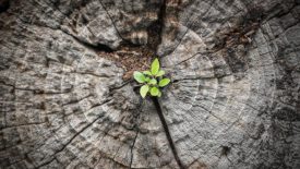 breathing new life into existing assets