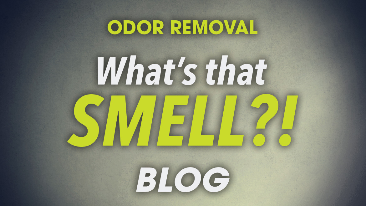 What's That SMELL?! Blog