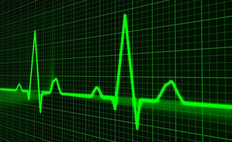 fresh pers flatline