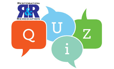RR Quizzes
