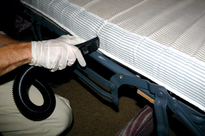 bed bugs cleaning bed