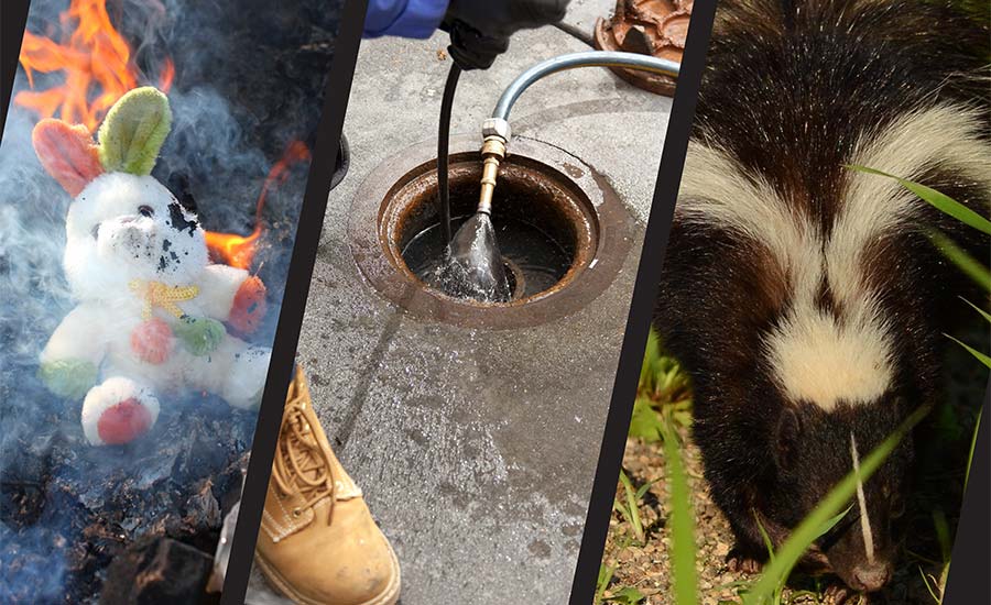 removing odors from smoke, sewage and skunk