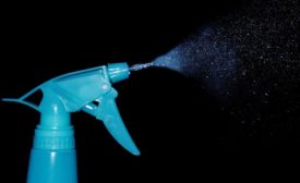 disinfection CDC pinto