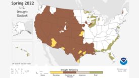 Spring Outlook