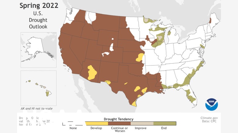 Spring Outlook