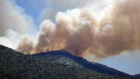 wildfire