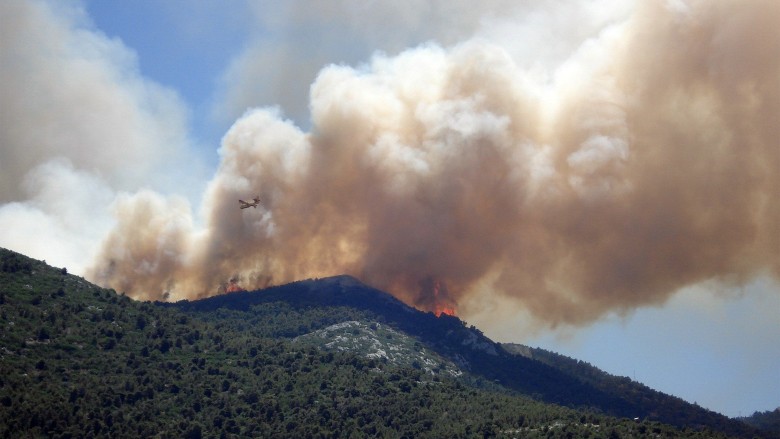 wildfire