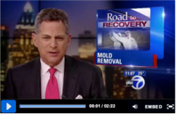 mold news abc